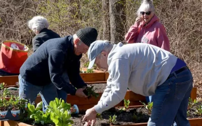 Spring has Sprung at Northbrook Village