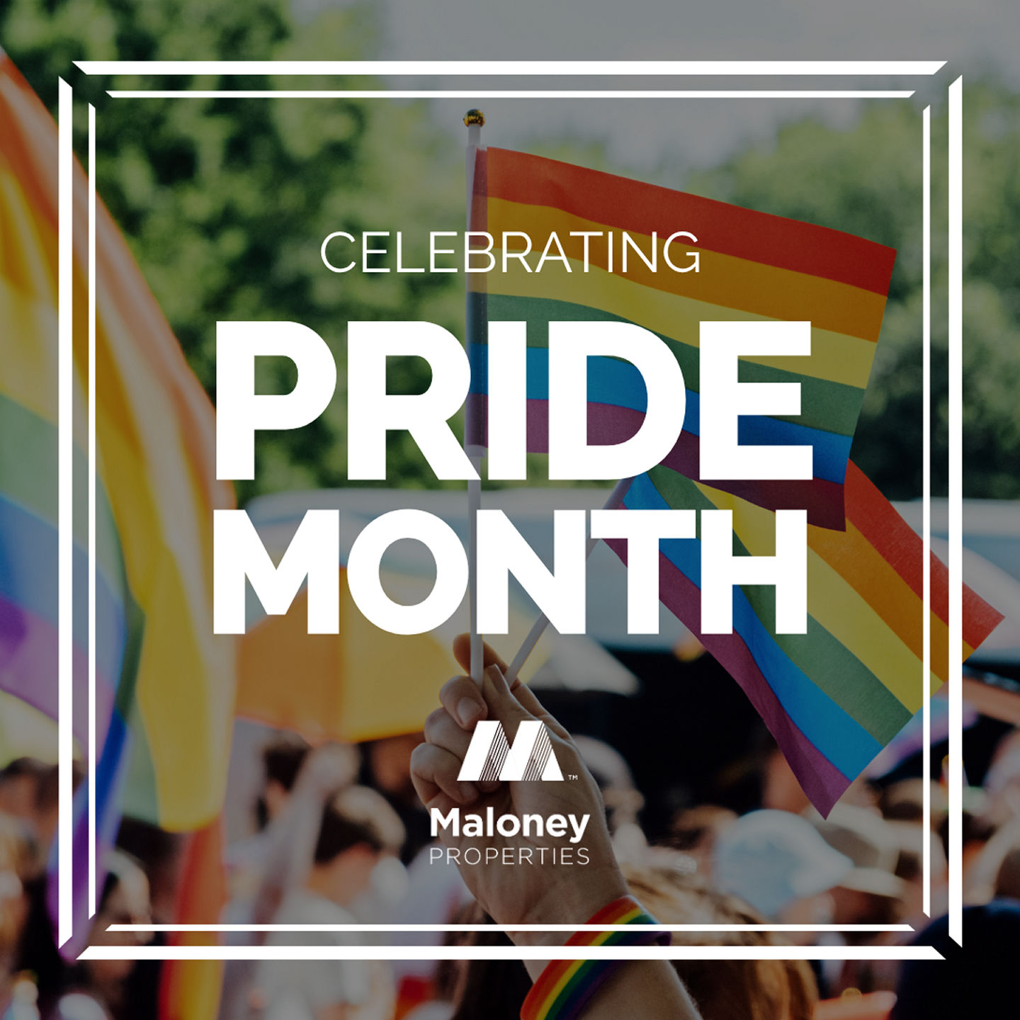 Celebrating Pride Month (rainbow flags)